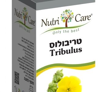 טריבולוס