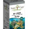 אצות ים