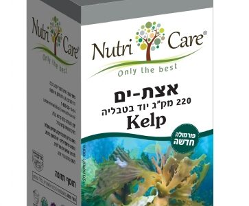 אצות ים