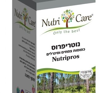 נוטריפרוס