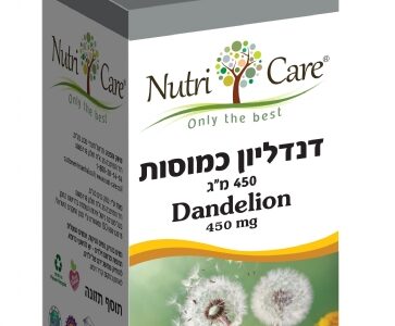 דנדליון