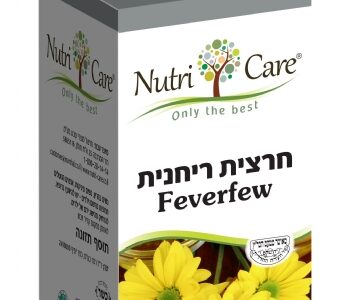 חרצית ריחנית